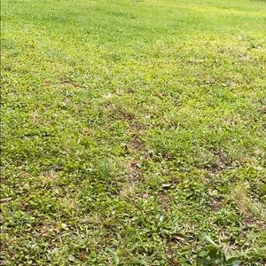 Meet your Posher, Izze